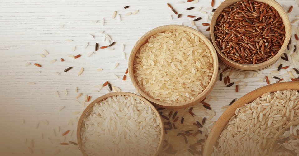 rice-slider-CH0h9mWu